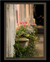 Down Mane Window Boxes by AD Coletta