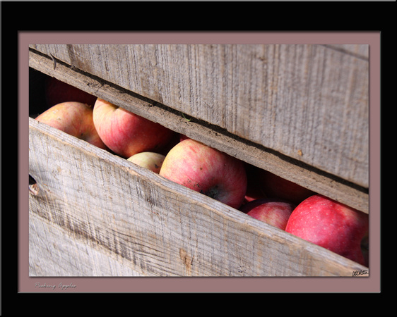 Peeking Apples by AD Coletta